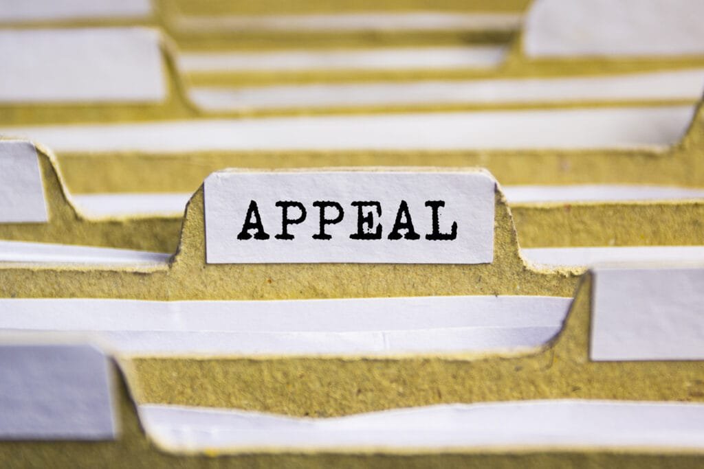 WHAT SHOULD I LOOK FOR WHEN FINDING A LAWYER FOR MY FAMILY LAW APPEAL? 1 appeals-family
