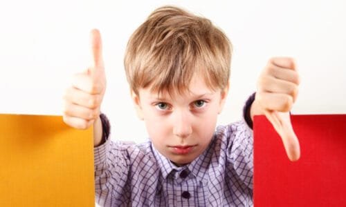 Psychological Evaluation in a child custody matter